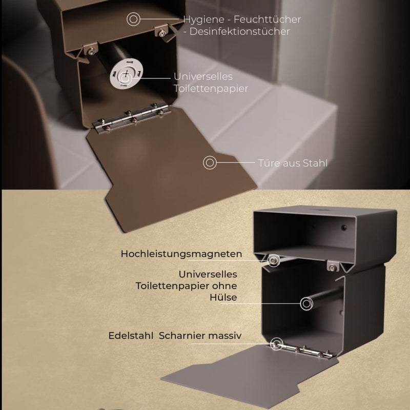 Two in One Sanitary Toilet Faucet